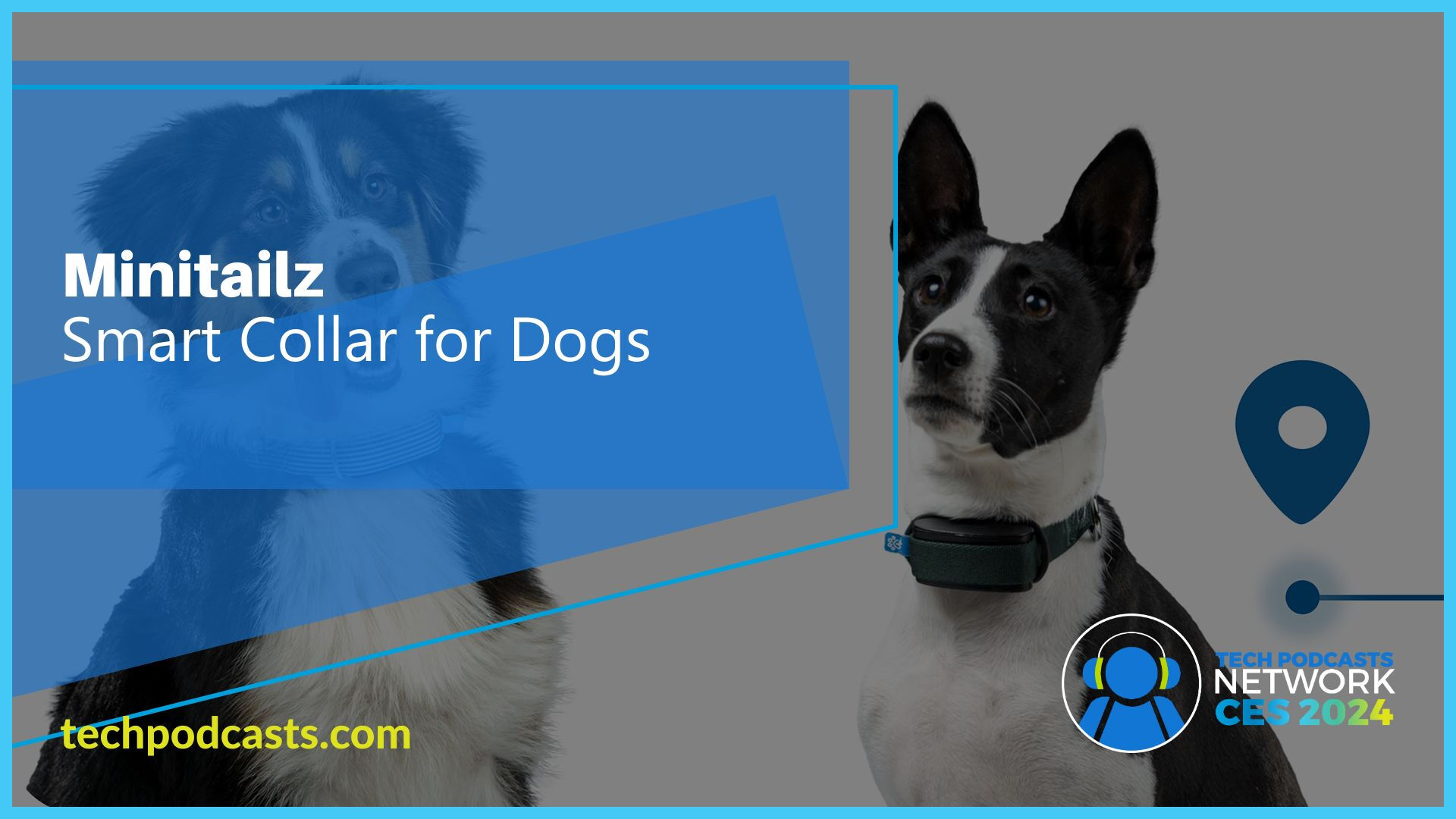 Introducing Minitailz: The small smart collar for dogs @ CES 2024